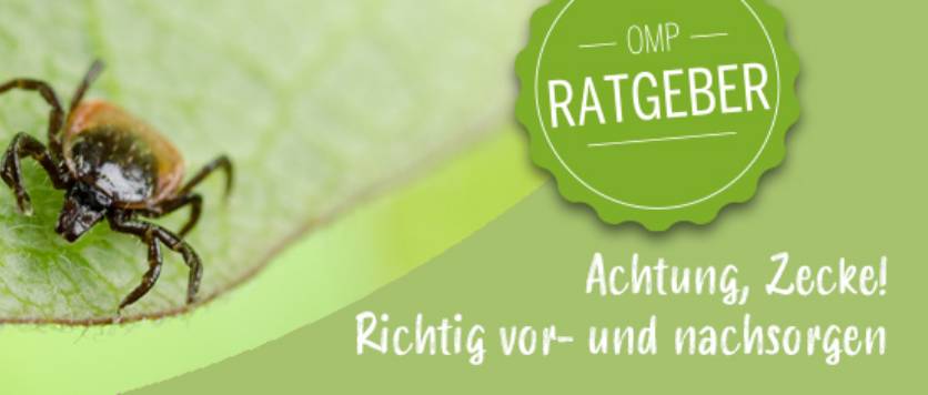 Achtung, Zecke! Richtig vor- und nachsorgen