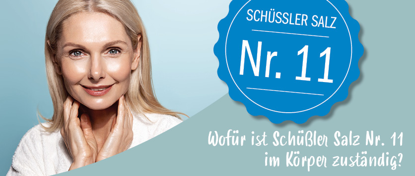 Wofür ist Schüßler Salz Nr. 11 im Körper zuständig?
