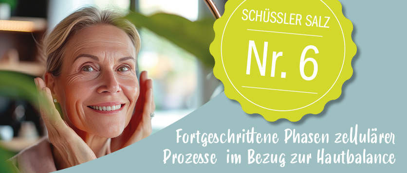 Schüßler Salz Nr. 6 in Phasen zellulärer Prozesse