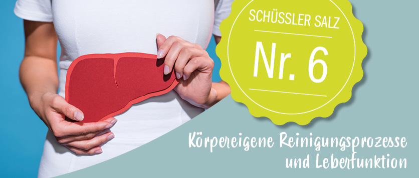 Schüßler Salz Nr. 6 - Körpereigene Reinigungsprozesse und Leberfunktion