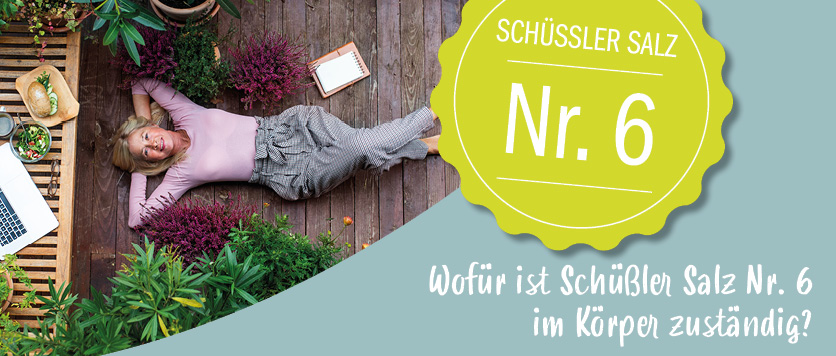 Wofür ist Schüßler Salz Nr. 6 im Körper zuständig?