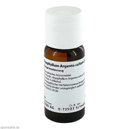 BRYOPHYLLUM ARGENTO cultum D 2 Dilution