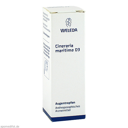 CINERARIA maritima D 3 Augentropfen