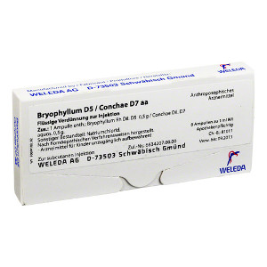 BRYOPHYLLUM D 5/Conchae D 7 Ampullen