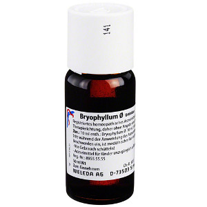BRYOPHYLLUM Urtinktur