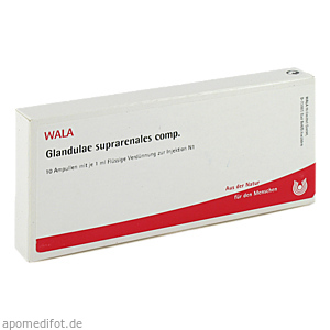 GLANDULAE SUPRARENALES comp.Ampullen