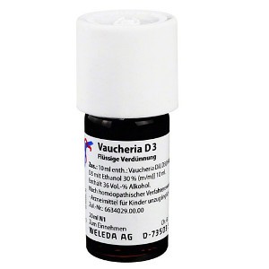 VAUCHERIA D 3 Dilution