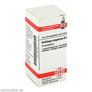 SOLIDAGO VIRGAUREA D 6 Globuli