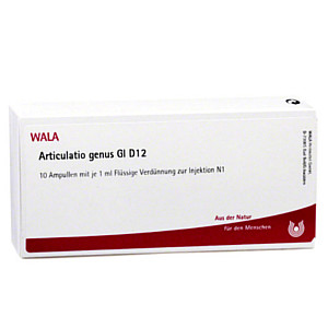 ARTICULATIO genus GL D 12 Ampullen