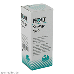PHÖNIX SOLIDAGO spag.Mischung