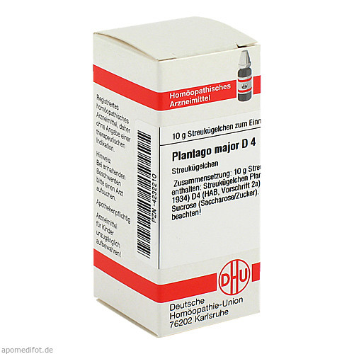 PLANTAGO MAJOR D 4 Globuli