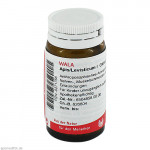 APIS/LEVISTICUM I Globuli