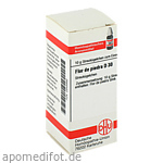 FLOR DE PIEDRA D 30 Globuli