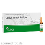 CALCULI COMP.Pflüger Ampullen