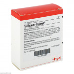 SILICEA INJEEL Ampullen