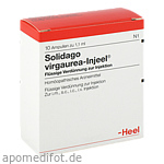 SOLIDAGO VIRGAUREA INJEEL Ampullen