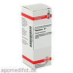 PHYTOLACCA D 1 Dilution