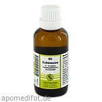 ECHINACEA K Komplex Nr.65 Dilution