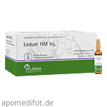 LEDUM HM Injekt Ampullen