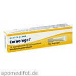 CORNEREGEL Augengel