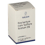 EQUISETUM CUM Sulfure tostum D 6 Trituration