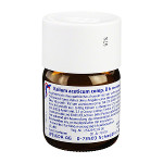 KALIUM ACETICUM COMP.D 6 Trituration