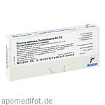 PRUNUS SPINOSA SUMMITATES Rh D 3 Ampullen