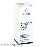 BRYOPHYLLUM ARGENTO cultum Rh D 3 Dilution