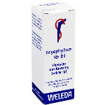 BRYOPHYLLUM RH D 3 Dilution