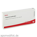 ORGANUM quadruplex Ampullen