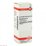 BELLADONNA D 12 Dilution