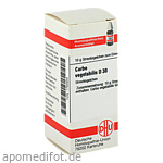 CARBO VEGETABILIS D 30 Globuli