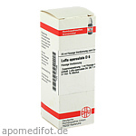 LUFFA OPERCULATA D 6 Dilution