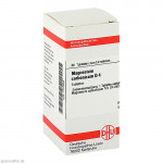 MAGNESIUM CARBONICUM D 4 Tabletten