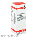 THUJA EXTERN Tinktur