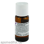 CICHORIUM PLUMBO cultum D 3 Dilution