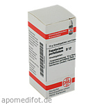 EUPATORIUM PERFOLIATUM D 12 Globuli