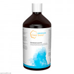 CASA SANA Darmreinigung Konzentrat