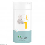 BIOCHEMIE Pflüger 1 Calcium fluoratum D 12 Pulver