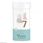 BIOCHEMIE Pflüger 7 Magnesium phosphoricum D 6 Plv