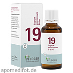 BIOCHEMIE Pflüger 19 Cuprum arsenicosum D 6 Tropf.