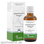 LYMPHOCAUSAL H Pflüger Mischung