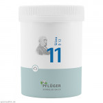BIOCHEMIE Pflüger 11 Silicea D 12 Pulver